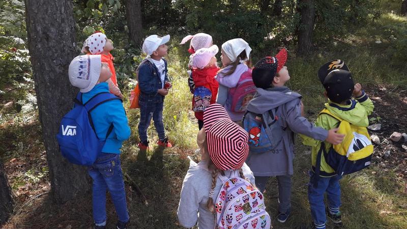 Прогулка по весеннему лесу младшая группа. Поход в лес детский сад. Поход в лес с детьми. Дети на экскурсии в лесу. Дети в походе.